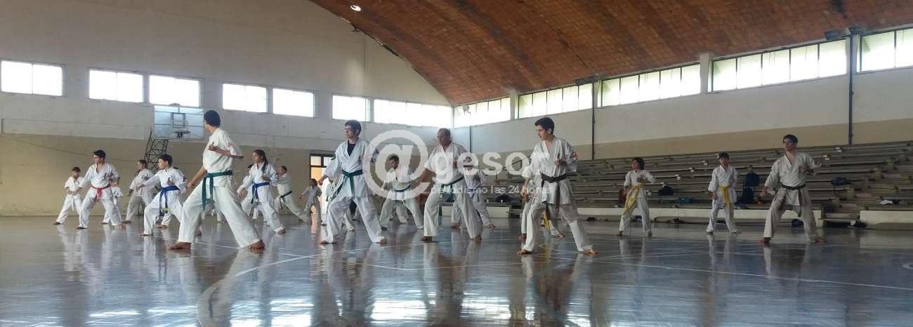 Image4